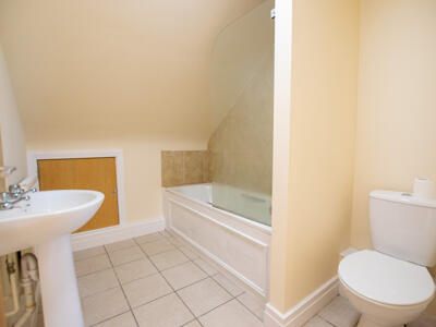 Picture 8